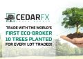 CedarFX外汇平台安全吗？CedarFX外汇平台具体靠谱吗？