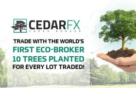 CedarFX外汇平台安全吗？CedarFX外汇平台具体靠谱吗？