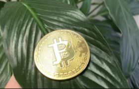 比特币价格行情会再创新高吗？以下三点理由可以说明！