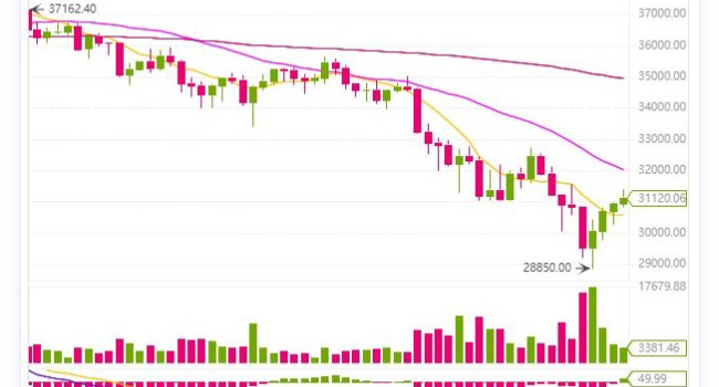 比特币跌破30000美元,比特币今日价格跌破30000美元!