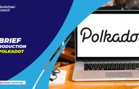Polkadot是什么？Polkadot将成为前三大区块链！
