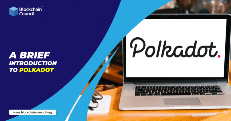 Polkadot是什么？Polkadot将成为前三大区块链！