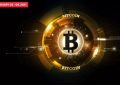 狗狗币背后的炒作不断，印度将禁止比特币吗？