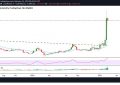 iota为什么涨不起来？IOTA价格下跌20％进入红色区域！