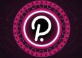 polkadot是什么币?polkadot币已准备好在30美元上方上涨10％!
