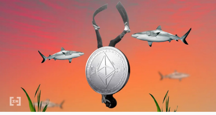 ETHFlash在Kraken上崩溃,在一小时内恢复了1,000美元