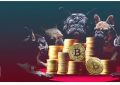 BIGG收购60.7比特币，现在总计300BTC