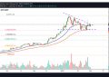 比特币价格在2021年2月有望创下新高