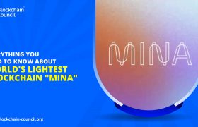 MINA区块链是什么？世界上最轻的区块链相关介绍