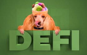 冥王星数字资产创始人谈VC资产管理和DeFi