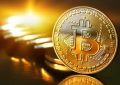 基于多边形的DFYN报告用户在24小时内增长128％