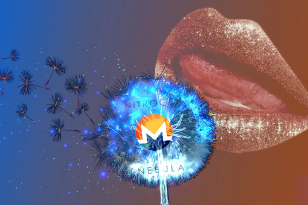 门罗币XMR达到新的ATH封顶漫长的积极发展时期