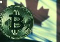 卡尔达诺(ADA)价格在智能合约推出计划后上涨15%
