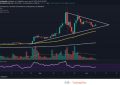 matic币价格预测2021,matic对应比特币应该多少钱？