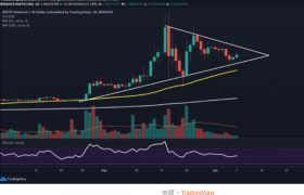 matic币价格预测2021,matic对应比特币应该多少钱？