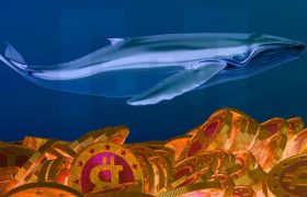 白宫技术顾问持有高达500万美元的比特币
