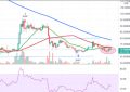 filecoin会升值到多少钱一枚，filecoin币会涨到多少钱？
