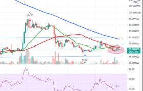 filecoin会升值到多少钱一枚，filecoin币会涨到多少钱？