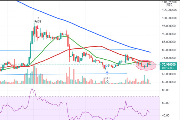 filecoin会升值到多少钱一枚,filecoin币会涨到多少钱?