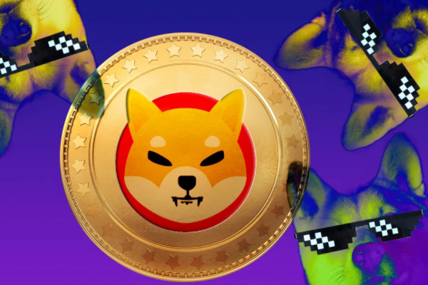SHIB飙升25%,因为ElonMusk在推特上为他的狗命名
