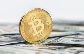 Algorand区块链现在支持Curvegrid的NFT桥
