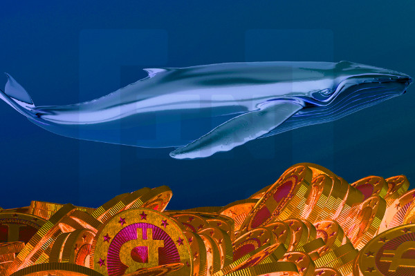 比特币鲸鱼增持，因为交易所存款预示着看跌势头