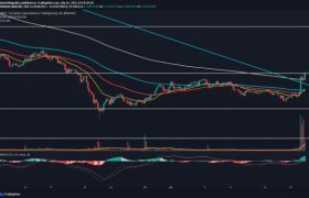 xem币2021前景，新经币xem暴跌还能上去吗？