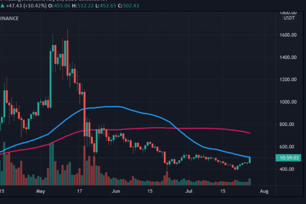 比特币现金价格分析,CH币价向新高发出强烈利好信号